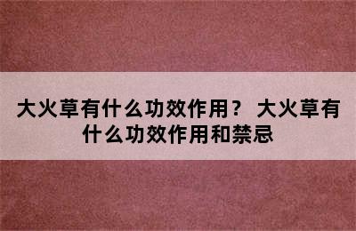 大火草有什么功效作用？ 大火草有什么功效作用和禁忌